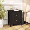 Costway Modern Nightstand with Storage 2 Drawers and Support Legs