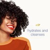 Dove Amplified Textures Sulfate-Free Moisturizing Shampoo for Coils, Curls, and