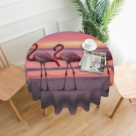 YYHWHJDE Beach Firebird Walk Picture Round Decorative Tablecloth 60 in : Good Wrinkle Resistance and can be Washed and reused