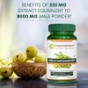 Amla Extract 1000 Mg - 60 Cpsulas - Pure Nutrition