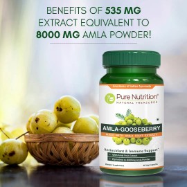 Amla Extract 1000 Mg - 60 Cpsulas - Pure Nutrition                                                                                                    