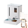 iPettie FW54 5G/2.4GHz WiFi Automatic Feeder and Waterer 2-in-1 Set