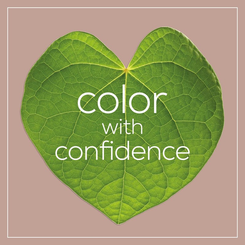 Naturtint 5c Light Copper Chestnut Hair Color (1xkit)