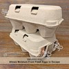 6-Egg Paper Egg Cartons - 24 Pack