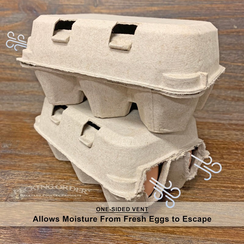 6-Egg Paper Egg Cartons - 24 Pack