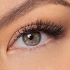 wet n wild Max Volume Plus Waterproof Mascara - Amp'd