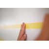 FROGTAPE CF 160 Multi-Use Painter's Tape with PAINTBLOCK for Delicate