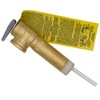 Supplying Demand SP12575B Water Heater Temperature and Pressure Relief Valve