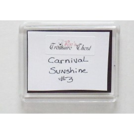 REFRIGERATOR MAGNET – CARNIVAL SUNSHINE #3 CRUISE SHIP - 3.5”x 3”