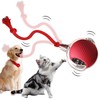 LuGirlre Interactive Cat Rolling Ball Dog Ball,Self Rolling cat Ball