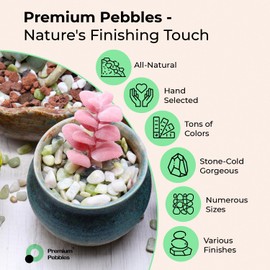 Premium Pebbles White Rocks. Decorative Pebbles. 1/5 Inch 10 lbs for Garden, Landscaping, Indoor, Vase Fillers, Crafting, Succulents, Pots, Plants (Mini, Tumbled)