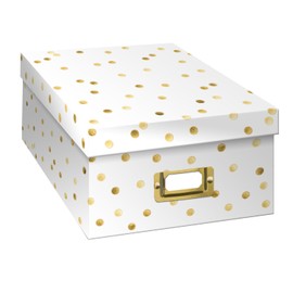 Pioneer Photo Albums B-1G Golden Dots Photo Box, Gold