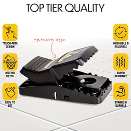 Mouse Traps, Mouse Traps Indoor, Mouse Traps Indoor for Home, Glue Traps for Mice and Rats, Trampas para Ratones, Mouse Glue Traps Indoor for Home, 6 Mice Traps 6 Glue Mouse Traps - 12 Pack