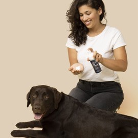 Honest Paws Dog Dry Shampoo - Waterless No Rinse Foaming Formula Reducing Itch Cleanse Hydrate Nourish Dry Skin and Smelly Coat Help Decrease Odor Shedding and Allergies - Oatmeal & Lavender - 6.3 oz