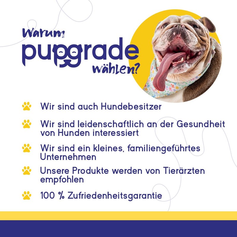PupGrade Digestive Support Chews für Hunde – Hilft bei Magenverstimmung