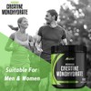 Creatine Monohydrate Powder 500g - Premium Grade Creatine Monohydrate -