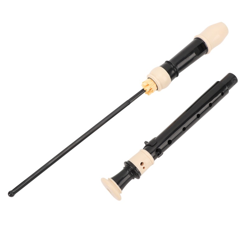8 Hole Recorder Detachable Soprano Recorder Musical Instrument with Cleaning