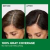 Garnier Nutrisse Tinte para el cabello, 11 negro más negro