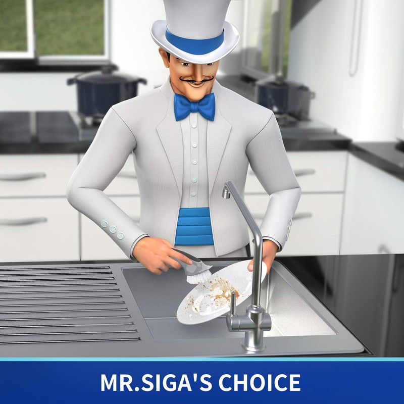MR.SIGA Pot and Pan Cleaning Brush, Dish Brush for Kitchen,