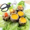 2 Pieces Quail Egg Scissors, Stainless Steel Quail Egg Scissors,