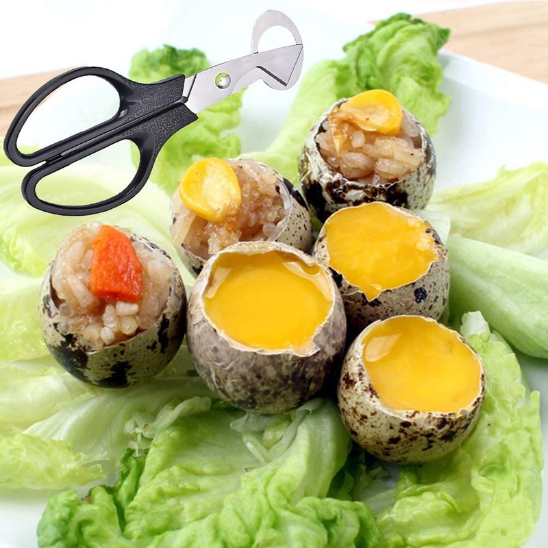 2 Pieces Quail Egg Scissors, Stainless Steel Quail Egg Scissors,