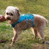 Escape Proof Dog Harness and Leash Set, Lightweight Dog Harness