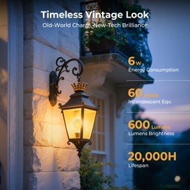 GvvooHome Dimmable LED Edison Bulbs, 2700K Warm White, 6W Equivalent to 60 watt E26 LED Bulb, ST58 Vintage Light Bulbs, 600LM, 90+ CRI, E26 Base, Clear Glass, 10 Pack