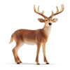 Schleich Wild Life 14818 White-tailed Buck for Children Aged 3-8