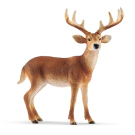 Schleich Wild Life 14818 White-tailed Buck for Children Aged 3-8 Years