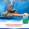 HTH 67032 Super Algae Guard Swimming Pool Algaecide Cleanser, 1