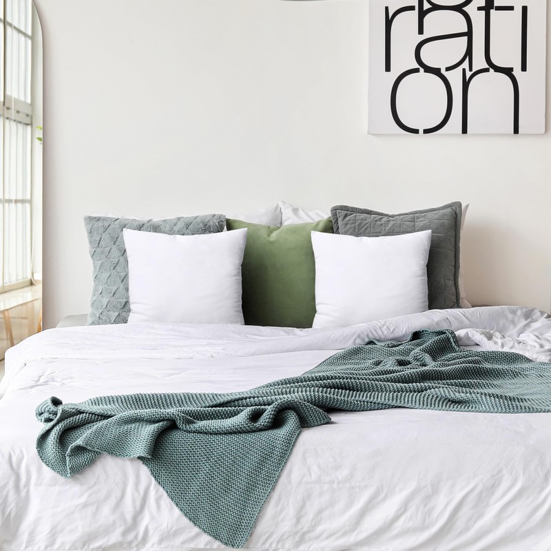 Utopia Bedding Throw Pillows Insert (Pack of 2, White) -