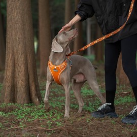 ARING PET No Pull Dog Harness-Soft Breathable Orange Dog Harness for Large Dogs, Adjustable No Choke Reflective Pet Vest Harness with Leash Clip