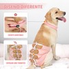 Meeyoga Traje de Recuperación para Perros - Transpirable Traje de