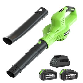 Leaf Blower Cordless, 20V Electric Cordless Leaf Blower with 8000mAh Battery and Charger, 2 Speed Modes, 150MPH Lightweight Battery Powered Leaf Blowers for Lawn Care, Patio, Blowing Leaves and Snow