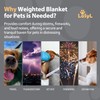 LaSyL Weighted Blanket for Pets | Thunder Blanket for Dogs