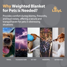 LaSyL Weighted Blanket for Pets | Thunder Blanket for Dogs Anxiety | Premium Soft Minky | Relaxation & Calming & Anti Anxiety | Used in Car, Bed, Couch | Dark Grey, Washable Small 32" L x 24" W