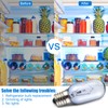 297048600 241552802 Refrigerator Light Bulb Replacement for Frigidaire Whirlpool KitchenAid