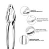 Seafood Crackers Tools Nutcrackers tools, Crab Nut Lobster Crackers Opener