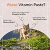 Vitamin Paste for Cats - With 7 Important Vitamins -