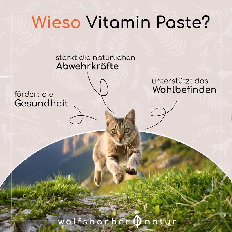 Vitamin Paste for Cats - With 7 Important Vitamins -