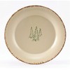 Park Designs Rustic Retreat Dinner Plates Set of 4