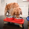 Trot Pets Elevated Dog Bowls | Stainless Steel Raised Bowl