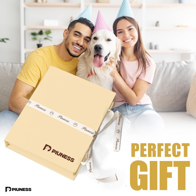 Piuness 100% Real Leather Dog Collar and Leash Set, Premium