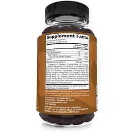 Sunergetic Sunergetic Premium Mushroom Gummies Supplement -for Immune Health, Brain, Mood & Stress Support - Mushroom Blend with Lions Mane, Chaga Extract, Reishi, Turkey Tail, Cordyceps (120 Gummies)