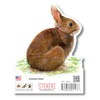 Earth Sky + Water - Cottontail Rabbit - 3.5″ Sticker