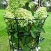 Goooxim Large Obelisk Trellis Peony Cage 24.6x17 Inches - Premium