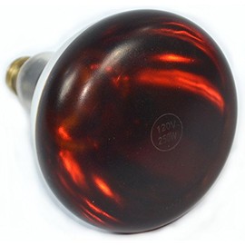 OCSParts 250W R40 Safety Coated Heat Lamp (Pack of 4)