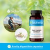 BIOHERBA Montmorency Tart Cherry Extract 380 mg C 300 Capsules