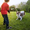 Plush Dog Toys Interactive Dog Puzzle Toys Cute Sloth Teething