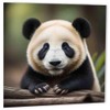 Panda Birthday Card Cute Panda Greeting Card 150mm x 150mm